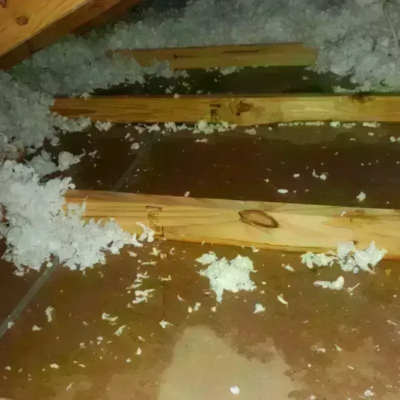 Attic Water Damage in Williston, SC